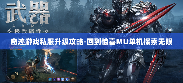 奇迹游戏私服升级攻略-回到惊喜MU单机探索无限  第2张